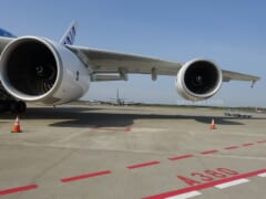 「ANA」「JAL」「ハワイアン航空」がハワイ路線の11月末までの運休を発表