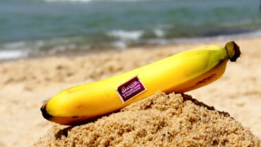 ハワイのバナナの歴史とは？おすすめのバナナや調理法もご紹介
