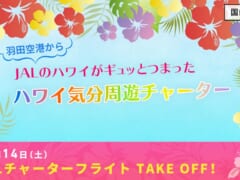 【10/22締め切り】JALが「機内でハワイ気分を味わえる」羽田発着のチャーターフライトやります！