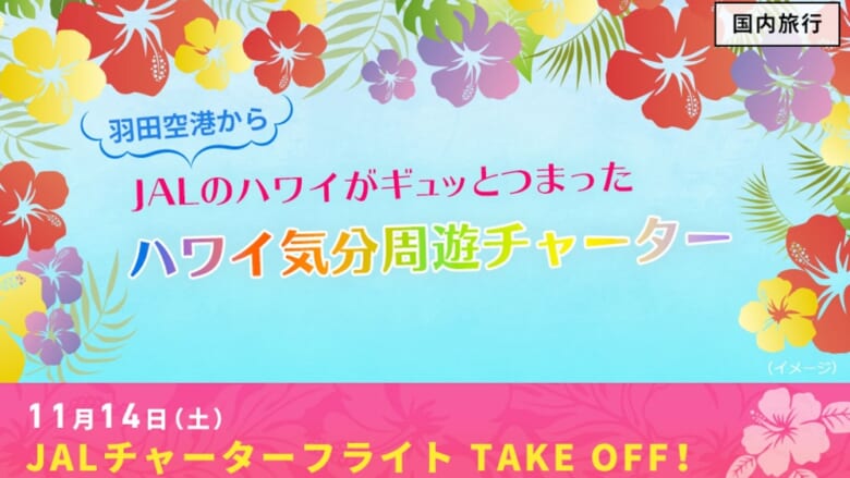 【10/22締め切り】JALが「機内でハワイ気分を味わえる」羽田発着のチャーターフライトやります！