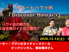 ハワイ島マサシのネイチャースクール・名物ガイド２名と巡るハワイ島バーチャル観光