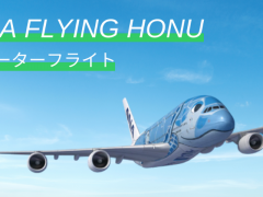allhawaii登録者限定！ANAフライングホヌ チャーターフライトに抽選でご招待！