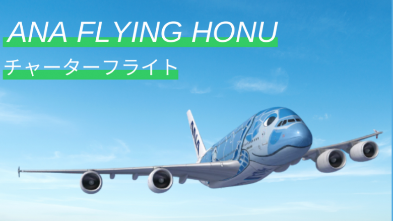 allhawaii登録者限定!ANAフライングホヌ チャーターフライトに抽選でご招待!
