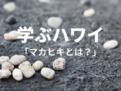 【学ぶハワイ】マカヒキとは？