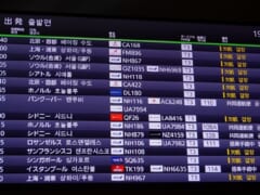 3月22日現在 ハワイから日本への帰国時にもpcr検査証明提出の義務化を発表 ハワイの最新情報をお届け Lanilani 3月22日現在 ハワイから日本への帰国時にもpcr検査証明提出の義務化を発表 ハワイの最新情報をお届け Lanilani