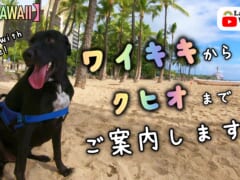 【4K HAWAII】ワイキキからクヒオまでご案内！マイケルくんとハワイのビーチ巡り