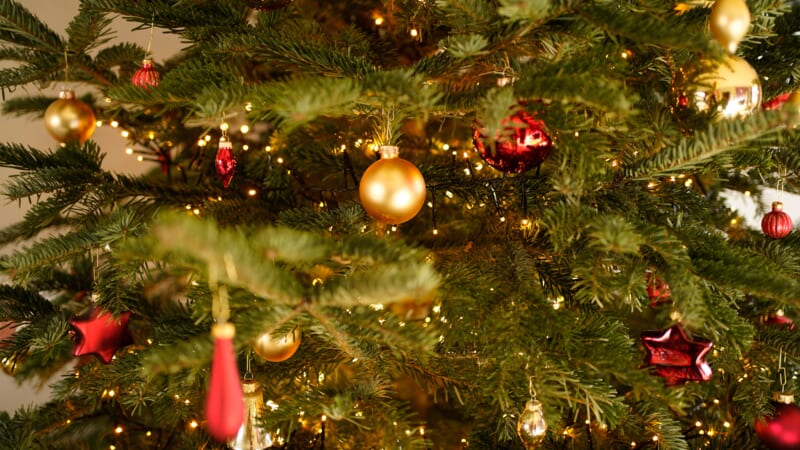 クリスマスツリーにキラキラのハワイを飾ろう！「ホノルル・シティ・ライツ」のイヤーオーナメント販売中