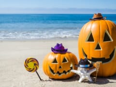 【ハロウィン2020】今年のハワイでのハロウィンイベントは？自粛期間中のハワイの街中レポ