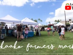 【4K HAWAII】マイケルくんとハワイの人気マーケット「カカアコファーマーズマーケット／Kakaako Farmer's Market」を覗いてみよう！