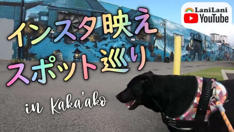 【4K HAWAII】お気に入りの作品を探してみよう!マイケルくんとカカアコのインスタ映えスポット巡り