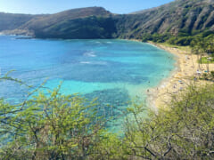 【在住者レポート】ハワイのハナウマ湾が再開！現状の様子と今は行かない方が良い理由