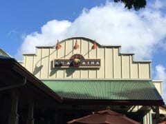 【在住者レポート】「ドールプランテーション」と「ハレイワ」の現状