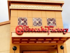 ハワイの穴場！カマカナアリイの「チーズケーキファクトリー／The Cheesecake Factory」がおすすめの理由
