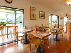 店内飲食を再開しているアラモアナエリアのレストラン
