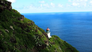 【在住者レポート】ハワイにホエールウォッチングの季節到来！マカプウトレイルにクジラを見に行こう