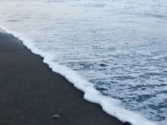 新型コロナウイルス感染症に関する最新情報について（2021年1月16日時点）