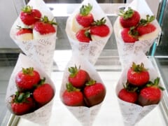 ハワイのゴディバ日本で買うより安い？ハワイでゴディバは絶対買いの理由を徹底解説