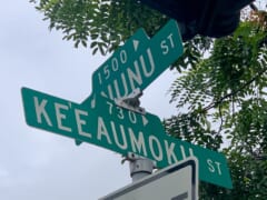 アラモアナセンター近くの「ケエアウモク通り／Keeaumoku Street」の名前の由来は？キングメーカーと呼ばれていた「ケエアウモク」の歴史に迫る！