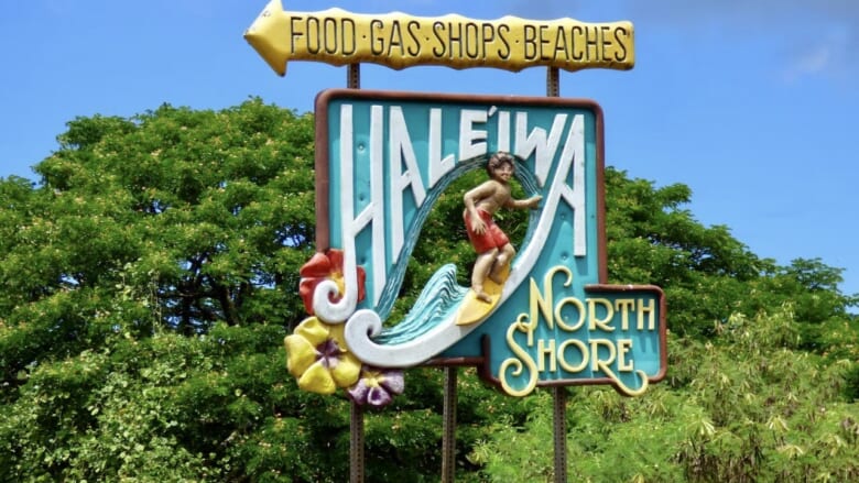ハワイのハレイワの由来は「オオグンカンドリ」？ハワイの伝説にも登場する「イワ」をもっと知ろう！