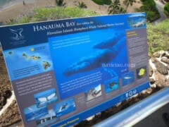 【7月4日現在】ハワイ・ハナウマ湾の入場料再値上げ！オンライン予約システムも開始