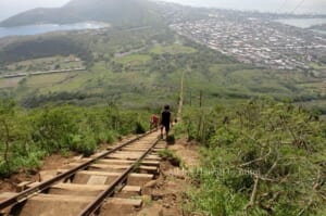 一度は挑戦してみたい！頂上までまっすぐ続く階段を上る「ココクレーターレイルウェイトレイル／Koko Crater Railway Trail」