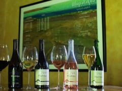 レーガン大統領の就任式に使われた大切なワインも？マウイ島アップカントリーにある老舗ワイナリー「マウイズ・ワイナリー」をご紹介