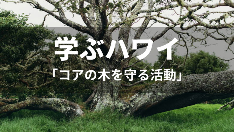 【学ぶハワイ】ハワイ固有種「コア」