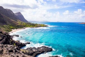 【YouTubeライブ配信公開中】環境先進州ハワイと考えるサスティナブル！SDGsオンラインフォーラムを2/14に開催しました！