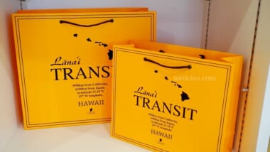 【オンラインで購入できる】メイドインハワイのバッグ「ラナイトランジット／Lanai Transit Hawaii」