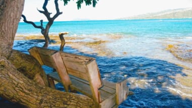 【特別映像付き】ハワイのベンチでインスタ映えを狙おう！定番から穴場のベンチまでご紹介