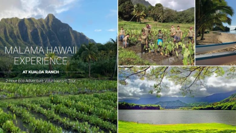 アウトリガーのSDGsの取組み エコ・アドベンチャー「マラマ・ハワイ」発表