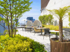 オープンテラスで楽しめるハワイアンバーベキュー！「アロハテーブル」で「ハワイアンBBQセット」の提供がスタート