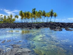 【在住者レポート】コロナ時代の初プチ旅行！ハワイ島の大自然に癒されてきました♪