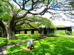ハワイが舞台の小説も読める！ハワイの日本語図書館「天理文庫」で過ごす贅沢な時間