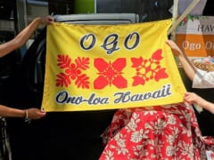 【日本で楽しめるハワイのグルメ】「オゴオノロアハワイ」でハワイアンフードはいかが？