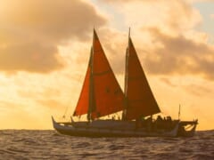 ホクレアをデザインした新ナンバープレートが8月に公開！気になる「ポリネシア航海協会」もご紹介