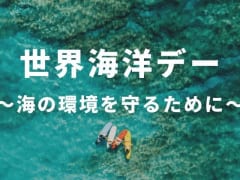 6月8日は『世界海洋デー』～きれいな海を守るためにわたしたちができること～