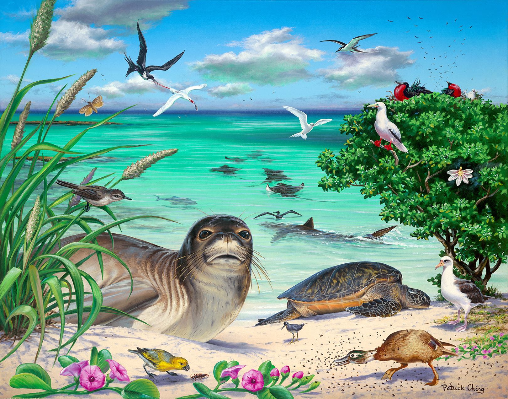 徹底解説】一度は行くべき！ハワイ州ふたつめの世界遺産「パパハーナウ