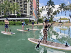 【在住者レポート】ペットと一緒にできる？ハワイで話題の「SUP」に挑戦