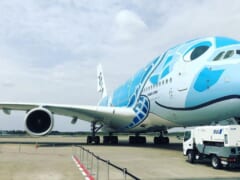 【速報】ANAホノルル線専用機材の「フライングホヌ」が北海道と沖縄の空を飛びます！