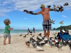 会えたらラッキー？！カイルアビーチでハトを操るおじさん「カイルアバードマン」！