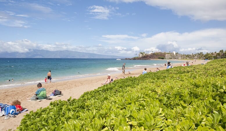 ハワイ発アパレルブランド「Lilly & Emma」×「STU48」メンバーオリジナルデザインSDGsグッズが販売開始！