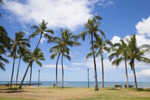 参加費無料！7月25日（日）11：00～ハワイの自然に癒される♪オンライン旅会
