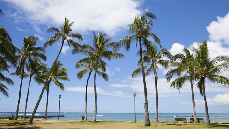参加費無料 7月25日 日 11 00 ハワイの自然に癒される オンライン旅会 ハワイの最新情報をお届け Lanilani