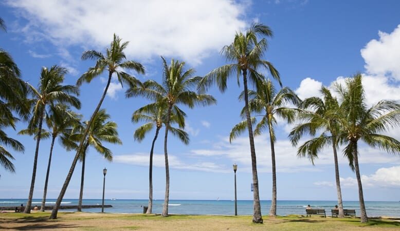 参加費無料！7月25日（日）11：00～ハワイの自然に癒される♪オンライン旅会