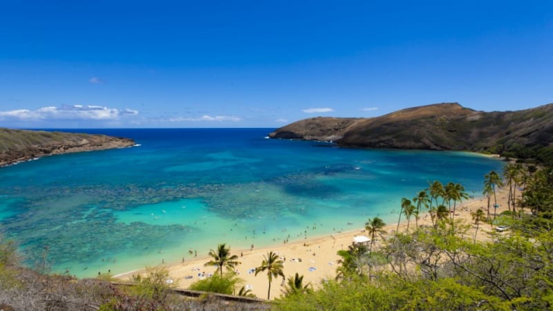 ハナウマ湾自然保護区の入場料金値上げのお知らせ