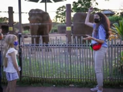 ホノルル動物園　トワイライトツアーの提供を再開