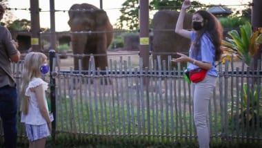 ホノルル動物園　トワイライトツアーの提供を再開