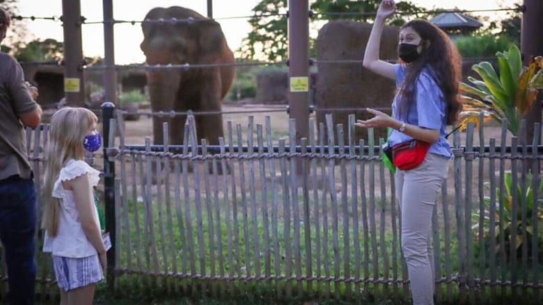 ホノルル動物園　トワイライトツアーの提供を再開