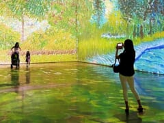 【ハワイ在住者レポート】ハワイで開催中！「ビヨンドヴァンゴッホ展／Beyond Van Gogh」とは？